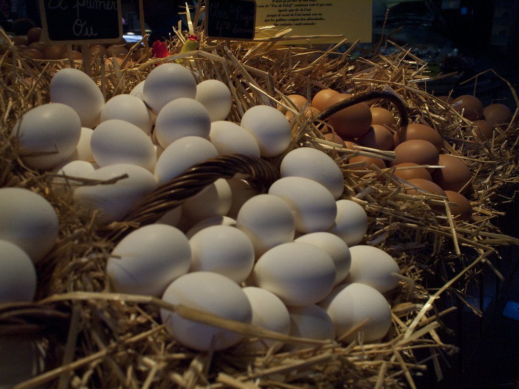 Many eggs spread across a bed of straw