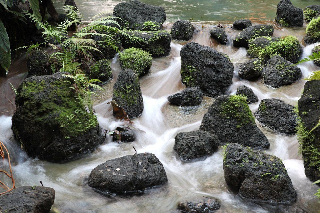 Water flowing freely between mossy rocks in a stream
